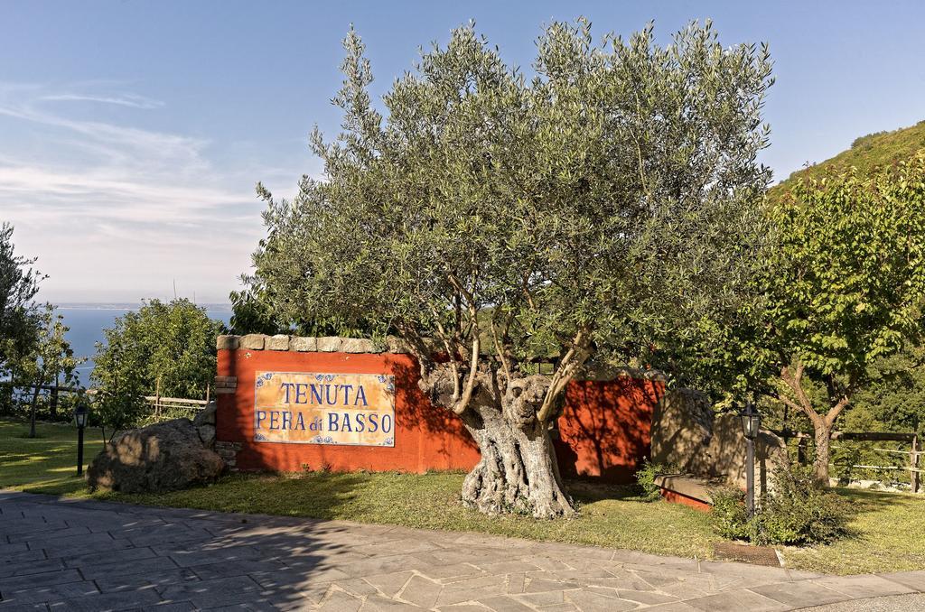 Agriturismo Pera Di Basso Casamicciola Terme Exterior photo