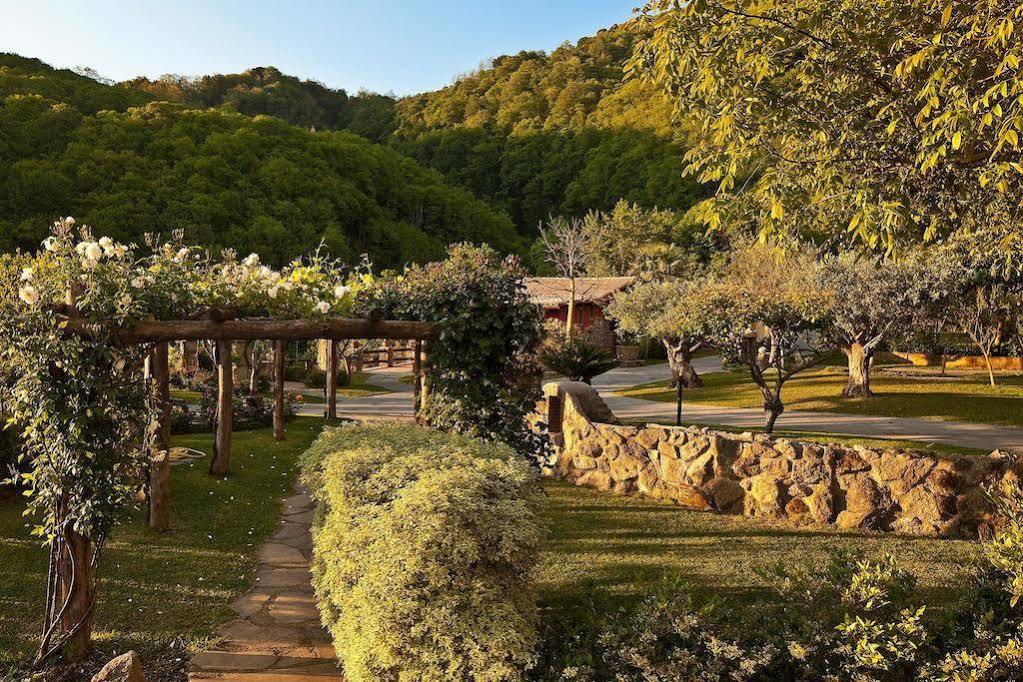 Agriturismo Pera Di Basso Casamicciola Terme Exterior photo
